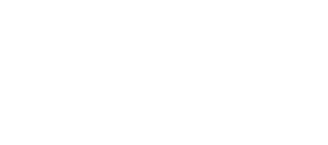 Ladder WP logo